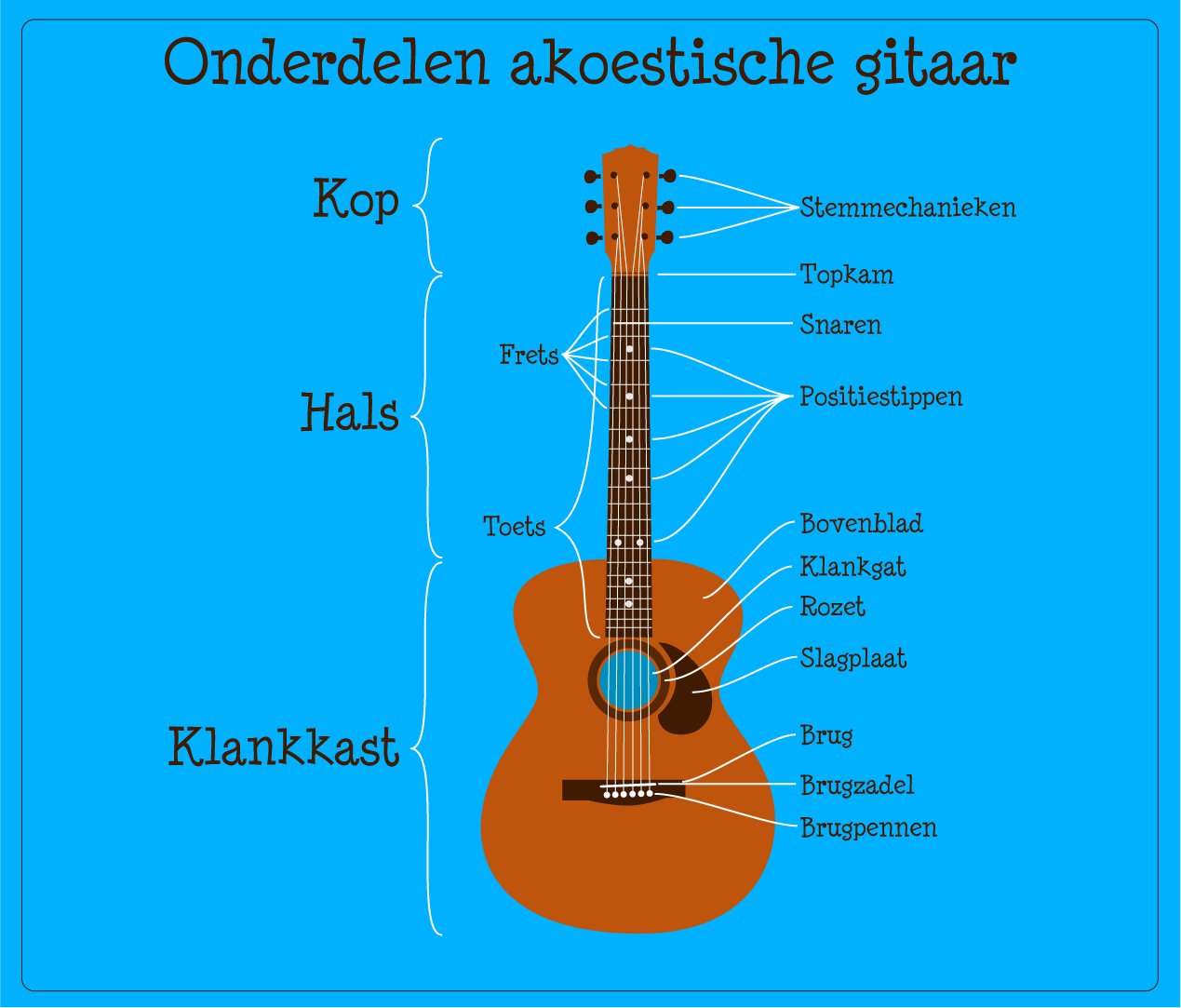 Onderdelen akoestische gitaar - onderdelen Betaalbare onderdelen & accessoires